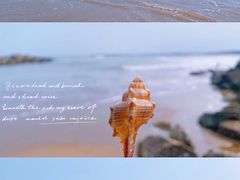 -南澳海滩