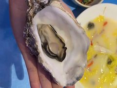 -千岛蚝高压锅生蚝·人参火锅(白云万达店)