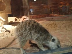 -酷嗒动物文化乐园(cutezoo西溪乐天城店)