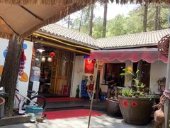 -小小饭店·休闲农庄·安吉松树林里的农家菜