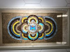 -上海昆虫博物馆