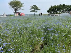 -苏州上方山国家森林公园