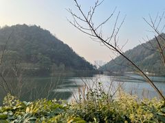 -桃花岭景区