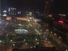 -成都明宇丽雅饭店