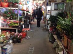-万商花鸟市场