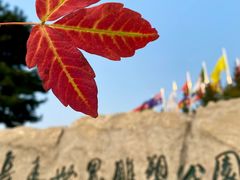 -长春世界雕塑园冰雪艺术天地