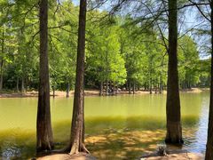-青龙山国家森林公园