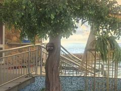 -东方之珠洗浴休闲广场(南开店)