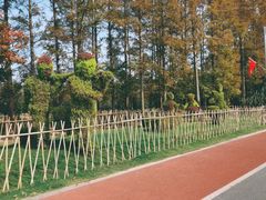 -上海长兴岛郊野公园