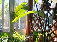 -草原塞蛮羊火锅城(港湾店)