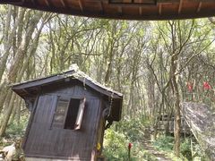 -富春桃源风景区