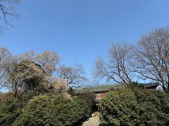 -灵谷景区