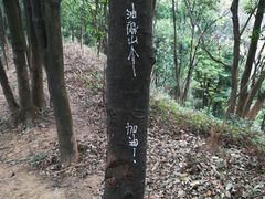 -黄埔油麻山森林公园