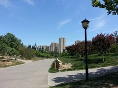 -永定河休闲森林公园