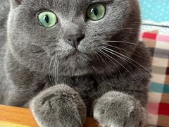 -暖阳宠物医院·犬猫康复中心·骨科