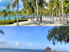 -亚龙湾热带天堂森林公园