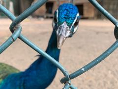 -静之湖湖畔餐厅