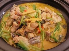 黄焖小白鲨-饭怕鱼·黄焖鲟龙鱼(湖大店)