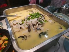 -洞庭家宴·头牌甲鱼(广渠门店)