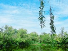 -溱湖国家湿地公园