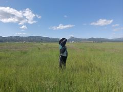 -敕勒川草原