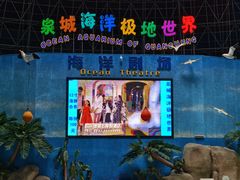 -泉城欧乐堡海洋极地世界