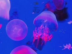 -常州海昌海洋探索馆