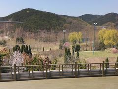 -棒棰岛宾馆景区