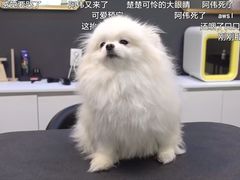 -胖哥料理(兴义里店)