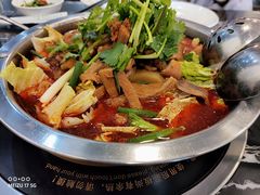 -古乐牛香·鲜牛肉牛杂火锅(高新店)