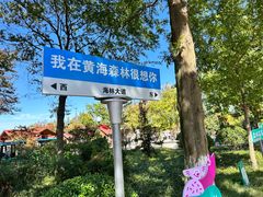 -黄海国家森林公园