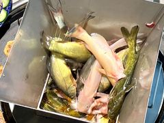 -米氏火鱼·泡椒鱼火锅(李子坝老店)