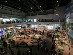 -自贡恐龙博物馆