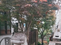 -山塘街