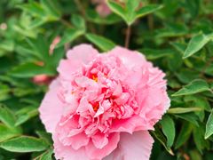 -大钟寺古钟博物馆