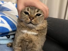 -心仪动物医院·牙专科·肿瘤·心脏科(西客站院)