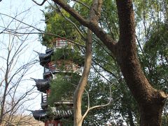 -上海佘山国家森林公园西佘山园