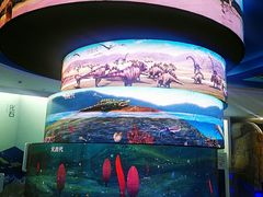 -金钉子远古世界景区