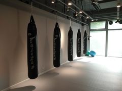 -北武堂拳击散打搏击泰拳俱乐部(三里屯总店)