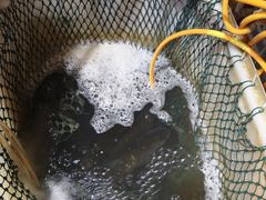 -万州烤鱼江湖菜(圣地阳光店)