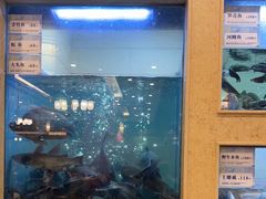 -围龙屋客家食府(福田店)