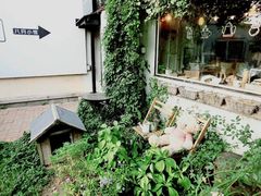-海边的猫和咖啡馆