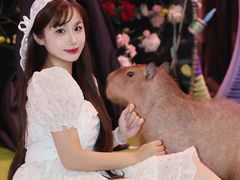 -正佳雨林生态植物园