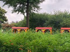 -宁波儿童公园(鄞州区)