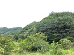 -北京山里寒舍度假酒店