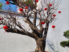 -龙华寺