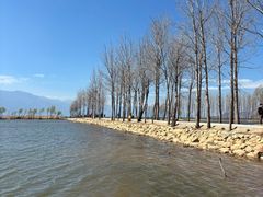 -洱海月湿地公园