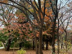 -国家植物园南园