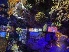 -上海海洋水族馆