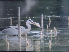 -圆明园停车场